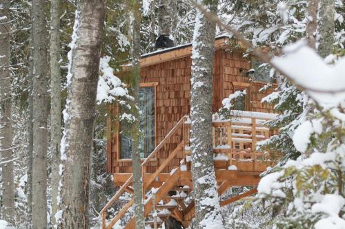 KohilaTiigrisilma Treehouse的雪中树林中的小屋