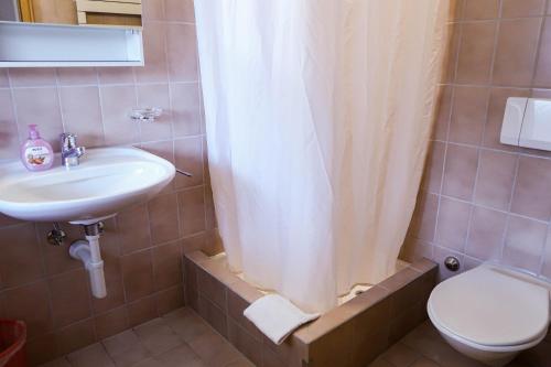 达沃斯达沃斯青年旅舍的一间带水槽、卫生间和淋浴的浴室