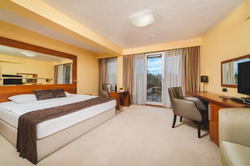 波德戈里察波德戈里察酒店的酒店客房配有一张床、一张书桌和一台电视。