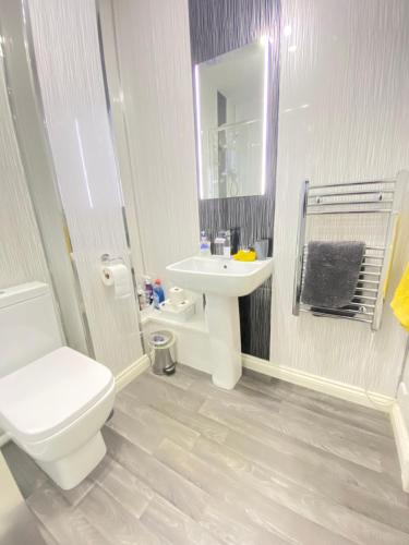 佩斯利Paisley Central Apartment #2的浴室配有白色卫生间和盥洗盆。