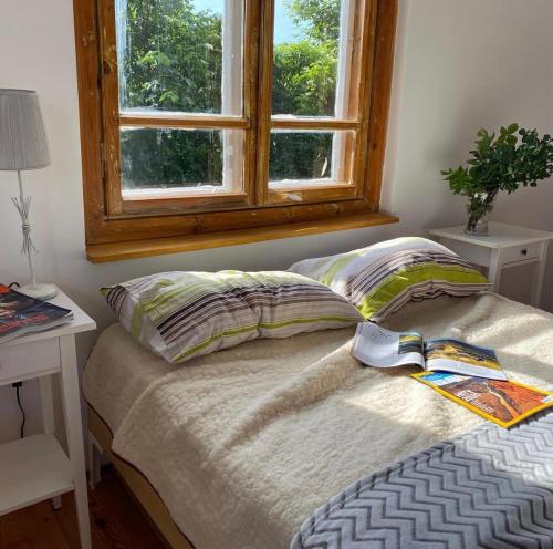谢米亚蒂切Moje Podlasie - Dom w Siemichoczach的一间卧室配有带两个枕头的床和窗户