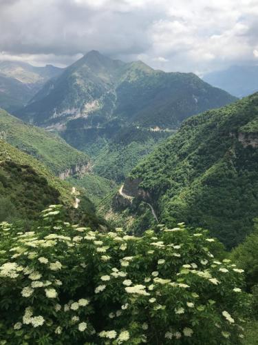 山景或在山林小屋看到的山景