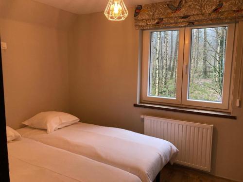 夫洛雷恩Au Bois de Rosée的一间卧室设有两张床和窗户。
