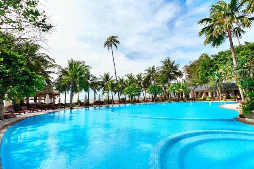 美奈晃玉海滩度假酒店的一座棕榈树环绕的大型游泳池