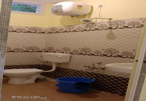 蓬蒂切里Aashikha Farm House的一间带卫生间和水槽的浴室