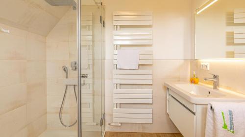博恩Haus Theresa的白色的浴室设有水槽和淋浴。