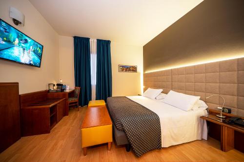 维罗纳嘉尔德尼亚酒店的配有一张床和一台平面电视的酒店客房