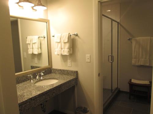 米德尔堡米德尔堡酒店的一间带水槽和淋浴的浴室