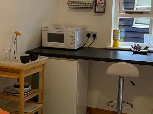 霍兹登林居酒店的厨房的台面上有一个微波炉
