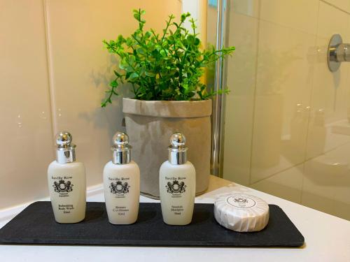 沃拉鲁沃拉鲁码头豪华公寓的浴室里三瓶肥皂和一株植物