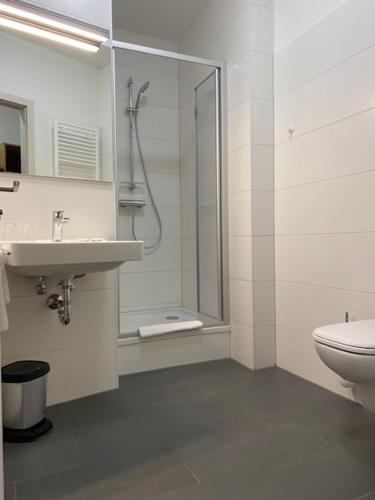 纽伦堡大陆饭店的带淋浴、盥洗盆和卫生间的浴室
