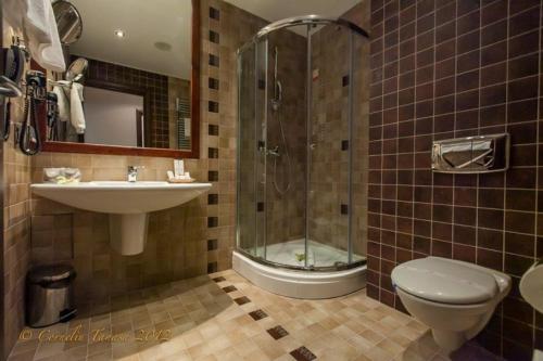 波亚纳布拉索夫Alpin ApartHotel 2302的带淋浴、卫生间和盥洗盆的浴室