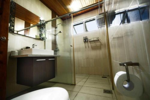 刁曼岛刁曼岛潜水度假村的带淋浴、盥洗盆和卫生间的浴室