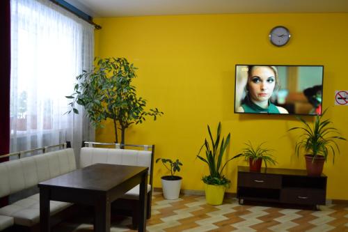 戈尔诺-阿尔泰斯克EtnO Hostel的带沙发的客厅和黄色墙壁上的电视