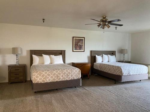 帕尔默鹰酒店的酒店客房配有两张床和吊扇。