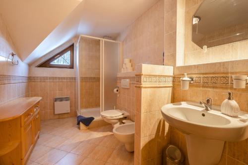 多纳瓦利维里猎人度假屋的一间带水槽、卫生间和淋浴的浴室