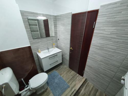 彼得罗沙尼Hotel Petroshani srl的一间带卫生间、水槽和镜子的浴室
