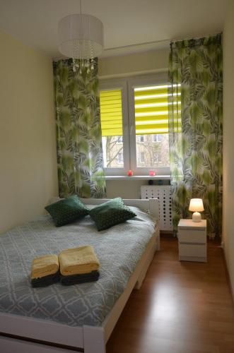 马佐夫舍地区新庄园Apartament Modlin的一间卧室设有一张床和两个窗户。