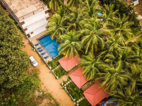 莫尔吉姆Pappi Chulo Morjim的棕榈树和游泳池的度假村的空中景致