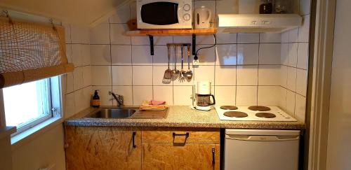 GräsmarkStuga ROS Naturcamping Lagom的一间带水槽和微波炉的小厨房