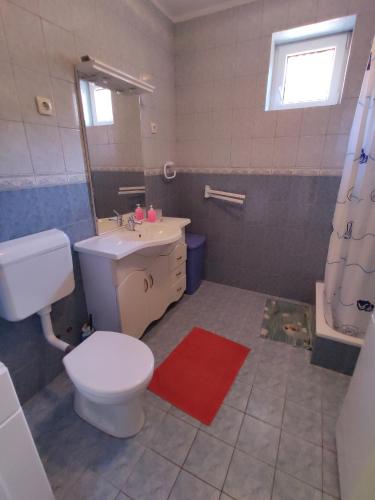 鲍洛通费尼韦什Zafír Nyaraló的一间带卫生间和水槽的浴室