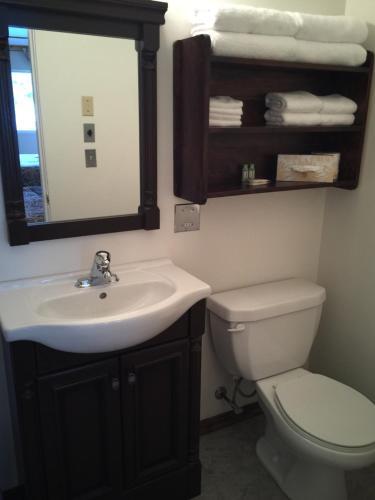 镭温泉皮卡迪利汽车旅馆的一间带水槽、卫生间和镜子的浴室
