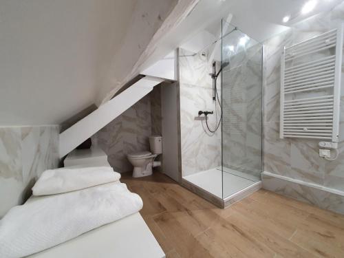滨海图维列Duplex 50 m2 au pied des planches的带淋浴和卫生间的浴室
