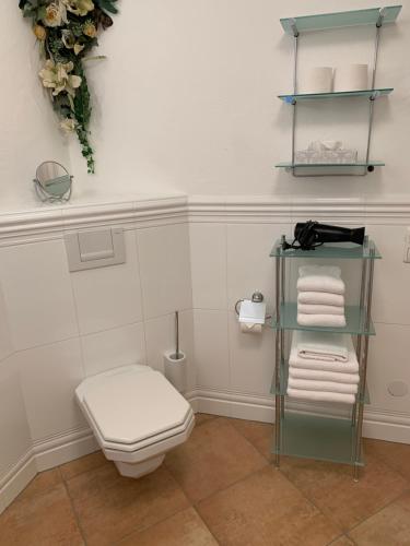 萨尔巴赫瓦格纳豪斯公寓的一间带卫生间的浴室和一个带毛巾的架子