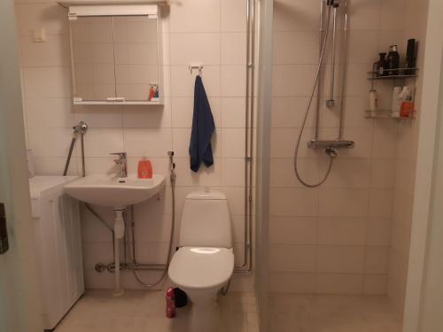 KotilaKotipaljakka的浴室配有卫生间、盥洗盆和淋浴。