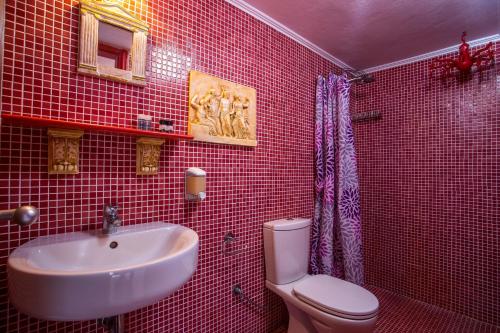 林都斯Al 583 di Lindos的红色瓷砖浴室设有水槽和卫生间