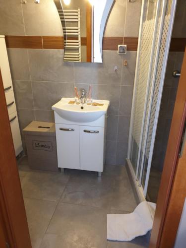 库瑞尼卡慕斯卡Apartamenty Donald的浴室设有白色水槽和镜子