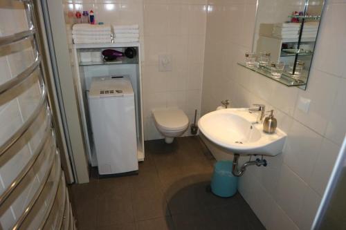 柏林罗伊度假屋的白色的浴室设有水槽和卫生间。