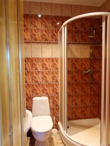 坎达瓦Dižpriedes的一间带卫生间和淋浴的浴室