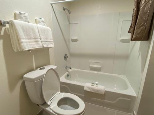 帕尔默鹰酒店的白色的浴室设有卫生间和浴缸。