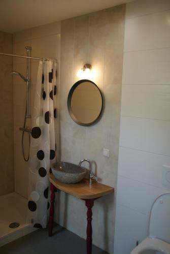 Heeswijk-DintherVakantieboerderij 't Zand - Appartement的一间带水槽、镜子和淋浴的浴室