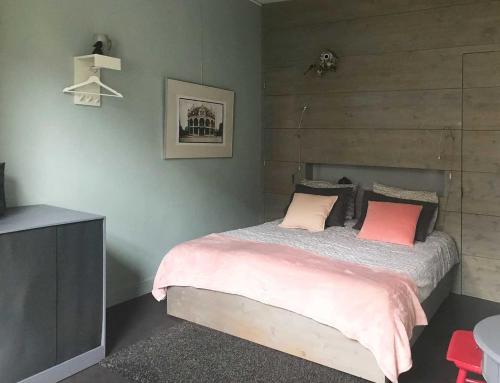 鹿特丹Appartement Rotterdam Noord的一间卧室配有一张带两个粉红色枕头的床