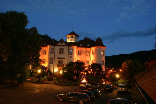 巴登-巴登Hotel Residenz im Schloss Neuweier的停车场内停放汽车的大型建筑