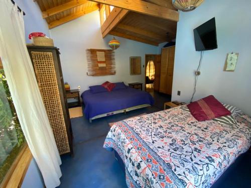 皮斯科艾齐Pisco Elqui HolidayHome的一间卧室配有一张床和一台电视。