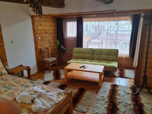 班斯科Mamin Kolio的客厅配有绿色沙发和茶几