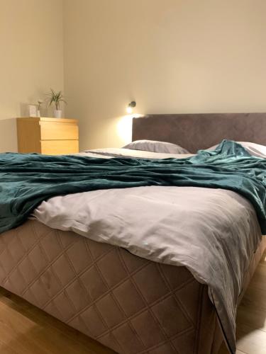 塔尔图Staadioni apartment的一张床上有绿毯的床