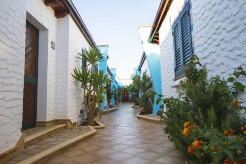 兰佩杜萨Agriturismo Resort Costa House的两座植物之间的人行道