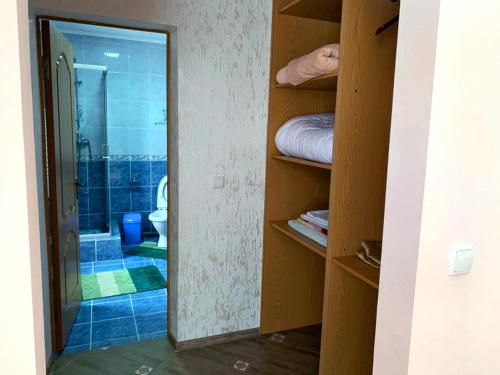莫申Зелений Дім - ViriDi House的一间带镜子、淋浴和卫生间的浴室