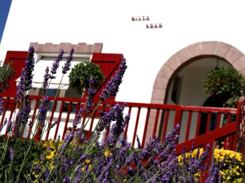 比达尔麦逊比斯塔埃德尔酒店的 ⁇ 前的一束紫色花