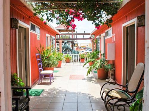 格雷罗内格罗Hotel Malarrimo by Rotamundos的建筑中长凳和植物的走道