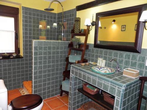 佩拉莱霍斯德拉斯特鲁查斯Casa Rural " LA PARRA"的一间带水槽、卫生间和镜子的浴室