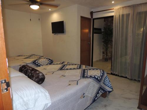 巴利亚多利德Hotel Boutique Bugambilias的一间卧室配有一张床和一台平面电视