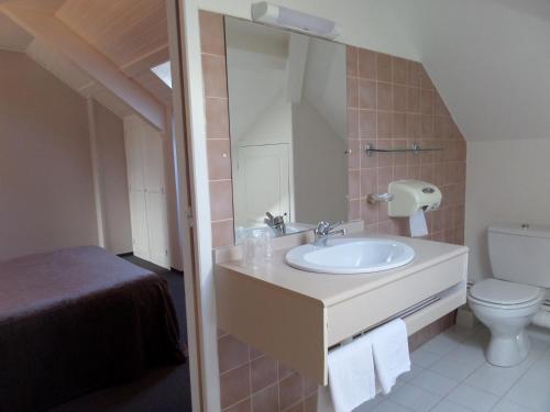 纳斯比纳勒城堡庄园酒店的一间带水槽、卫生间和镜子的浴室