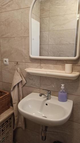 萨拉热窝Cozy room with a bathroom的一间带水槽和镜子的浴室