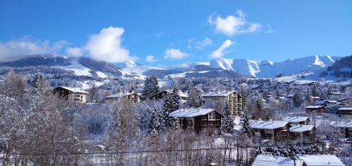 梅杰夫L'esquirot的一座有雪盖建筑和山脉的城镇