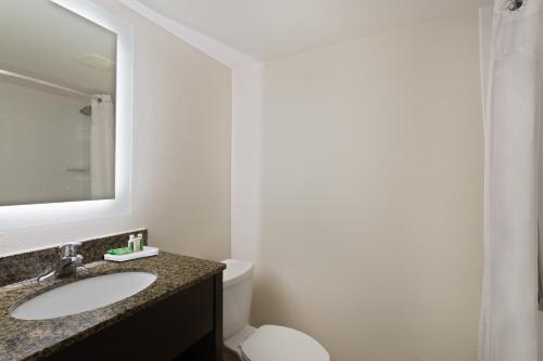 Holiday Inn & Suites Across From Universal Orlando, an IHG Hotel的一间浴室